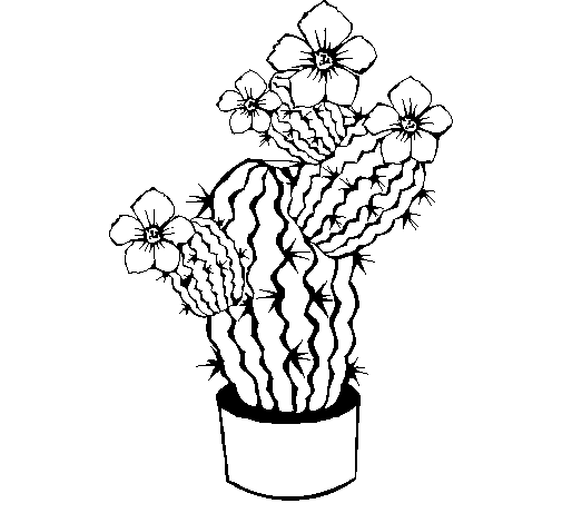Dibujo de Flores de cactus para Colorear - Dibujos.net