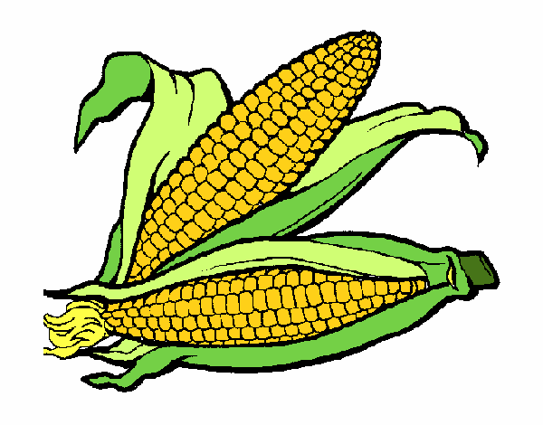Dibujo de Mazorca de maíz pintado por en Dibujos.net el día 13-05 ...