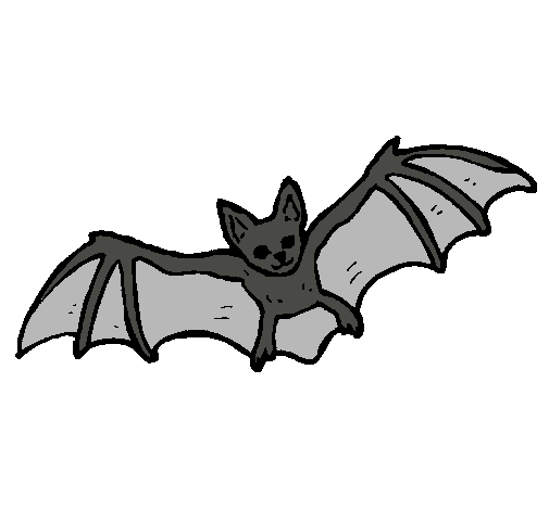 Dibujo de Murciélago volando pintado por Torpi en Dibujos.net el ...