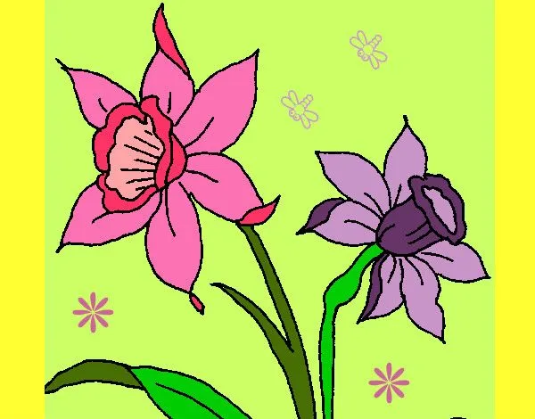 Dibujo de Orquídea pintado por Pepitayo5 en Dibujos.net el día 07 ...