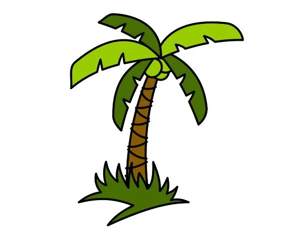 Dibujo de Palmera tropical pintado por Charlycar en Dibujos.net el ...