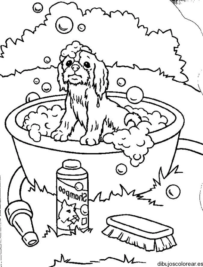 Dibujo de un perro en una bañera | Dibujos para Colorear