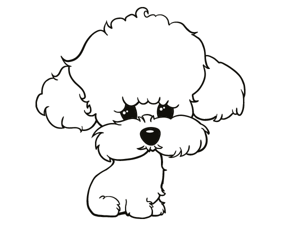 Dibujo de perro caniche para colorear - Imagui