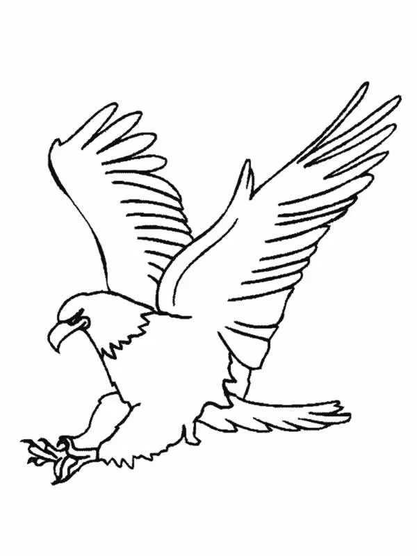 Dibujos para colorear de Aguilas, Plantillas para colorear de Aguilas