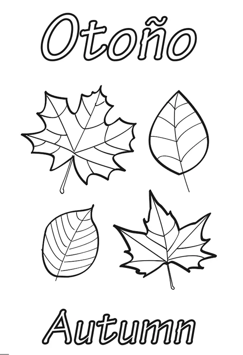 Dibujos para Colorear: Hojas de otoño para colorear