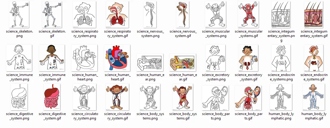 Dibujos del cuerpo humano para niños | Diario Educación