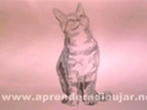 Dibujos de gatos - Cómo dibujar un gato sentado a lápiz - YouTube