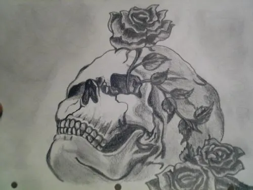 Dibujos de rosas y calaveras a lapiz - Imagui