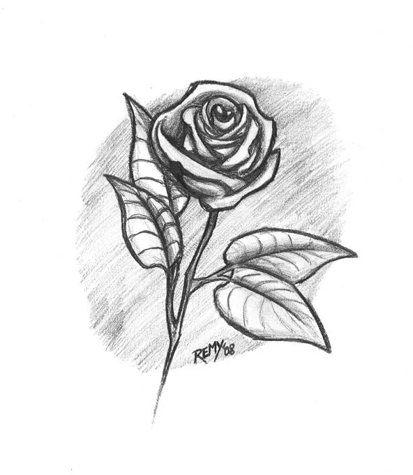 Dibujo a lapiz rosas - Imagui