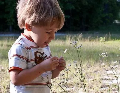 Niños con alergia al polen: cómo prevenir la aparición de molestias