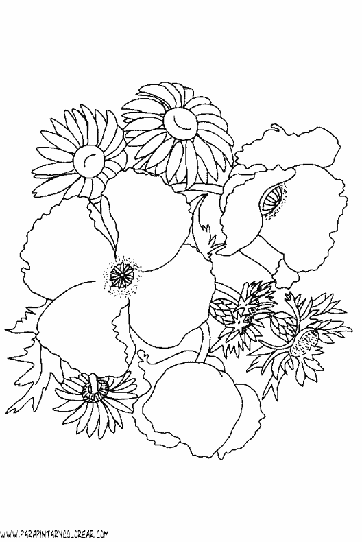 dibujos-para-colorear-de-ramos-de-flores-009