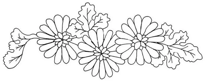 Guia de flores para dibujar - Imagui