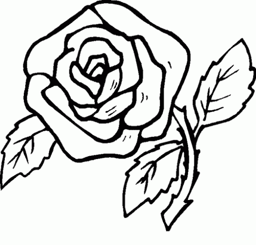 Dibujos de rosas ~ Vida Blogger