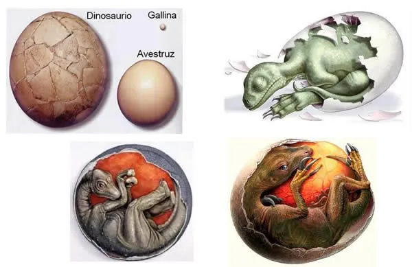 Huevos-Dinosaurios.jpg