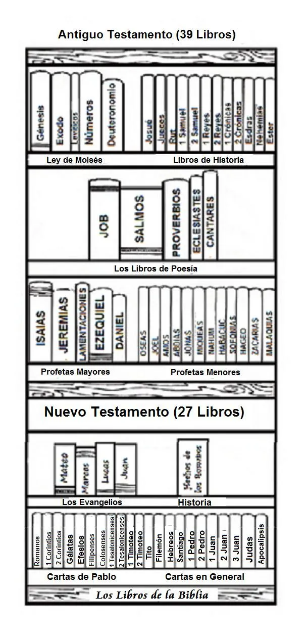 Dulce Miel: Biblia - verdadera biblioteca 66 libros