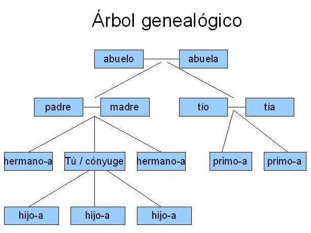 Ejemplos de arbol genealogico de la familia - Imagui