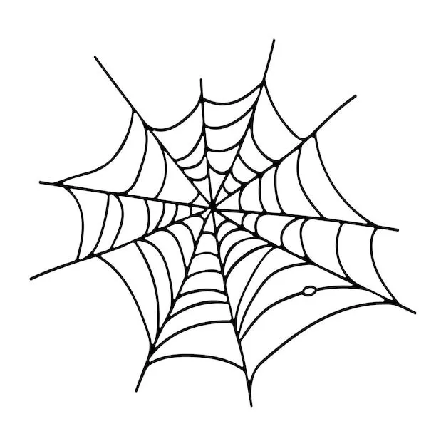 Esquema de doodle de telaraña para el diseño de halloween vector premium |  Vector Premium