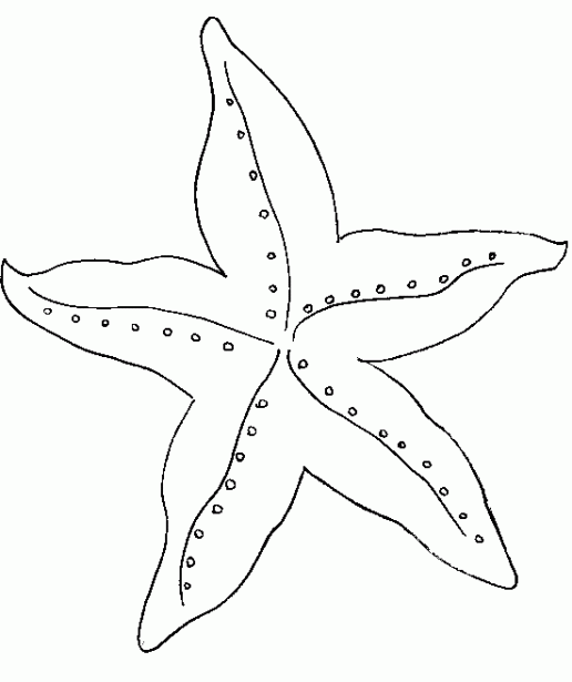 estrellas-de-mar-para-colorear-i3.gif (516×615) | plantillas ...