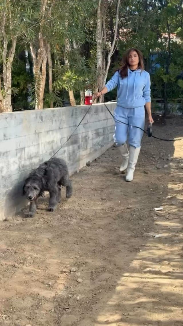 ¡Eva Mendes y Ryan Gosling han adoptado un nuevo perro!