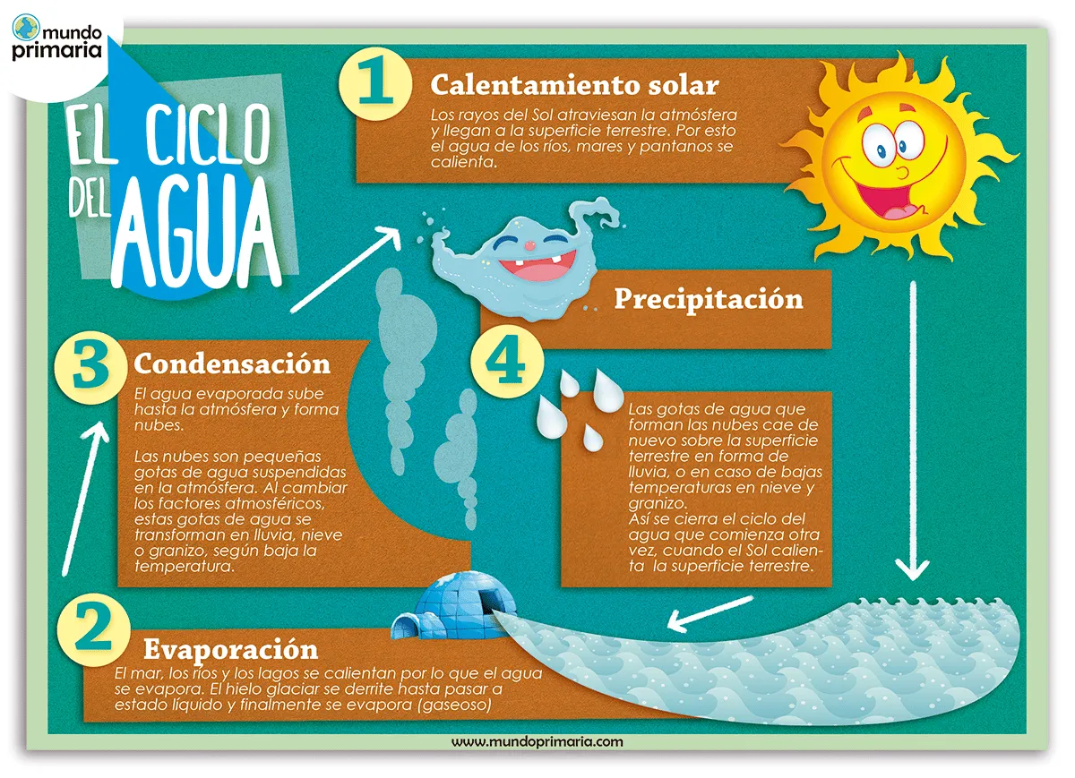 Las fases del ciclo del agua para niños de primaria