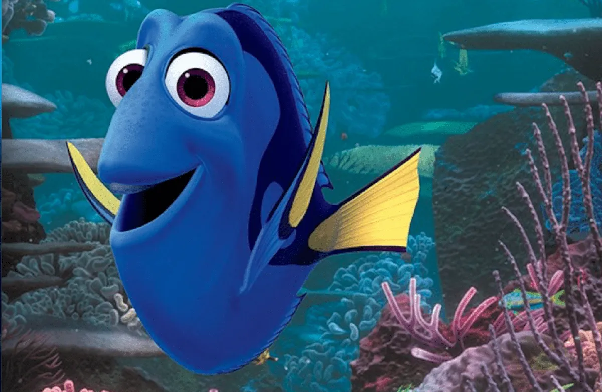 Finding Dory Did Not Increase Demand for Pet Fish, Despite Viral ...