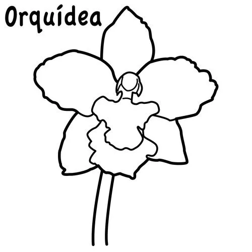 Flor del araguaney para colorear - Imagui
