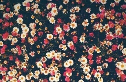 Fondos de pantalla tumblr flores - Imagui