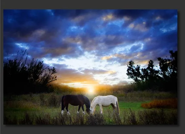 Fotos-de-paisaje-caballos | Brisa Andina