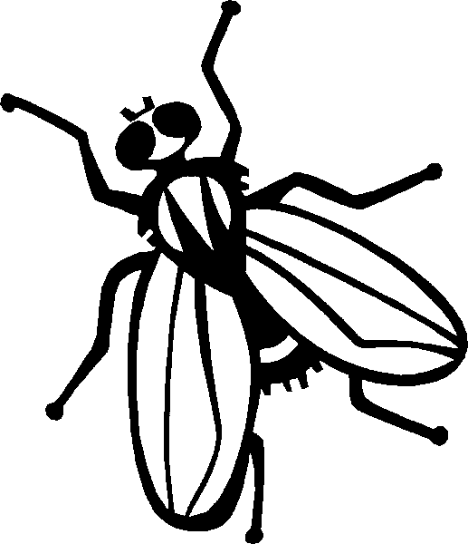 Dibujos para colorear mosca - Imagui