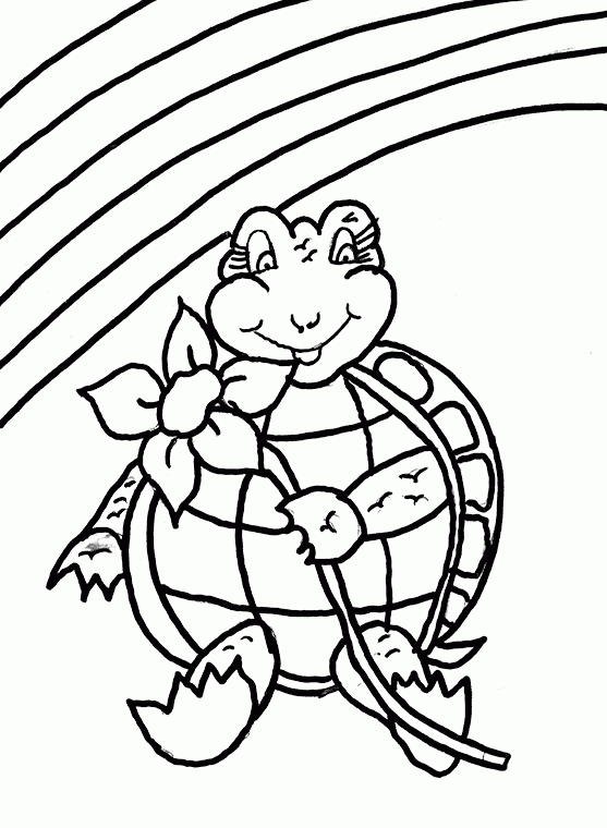 Freshwater Turtle Coloring Pages Crokky Coloring Pages