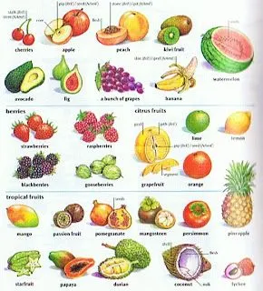 Frutas y verduras en ingles - Imagui