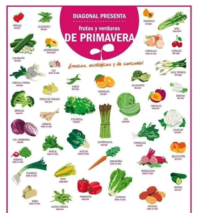 frutas y verduras de primavera | Aprender español | Pinterest ...