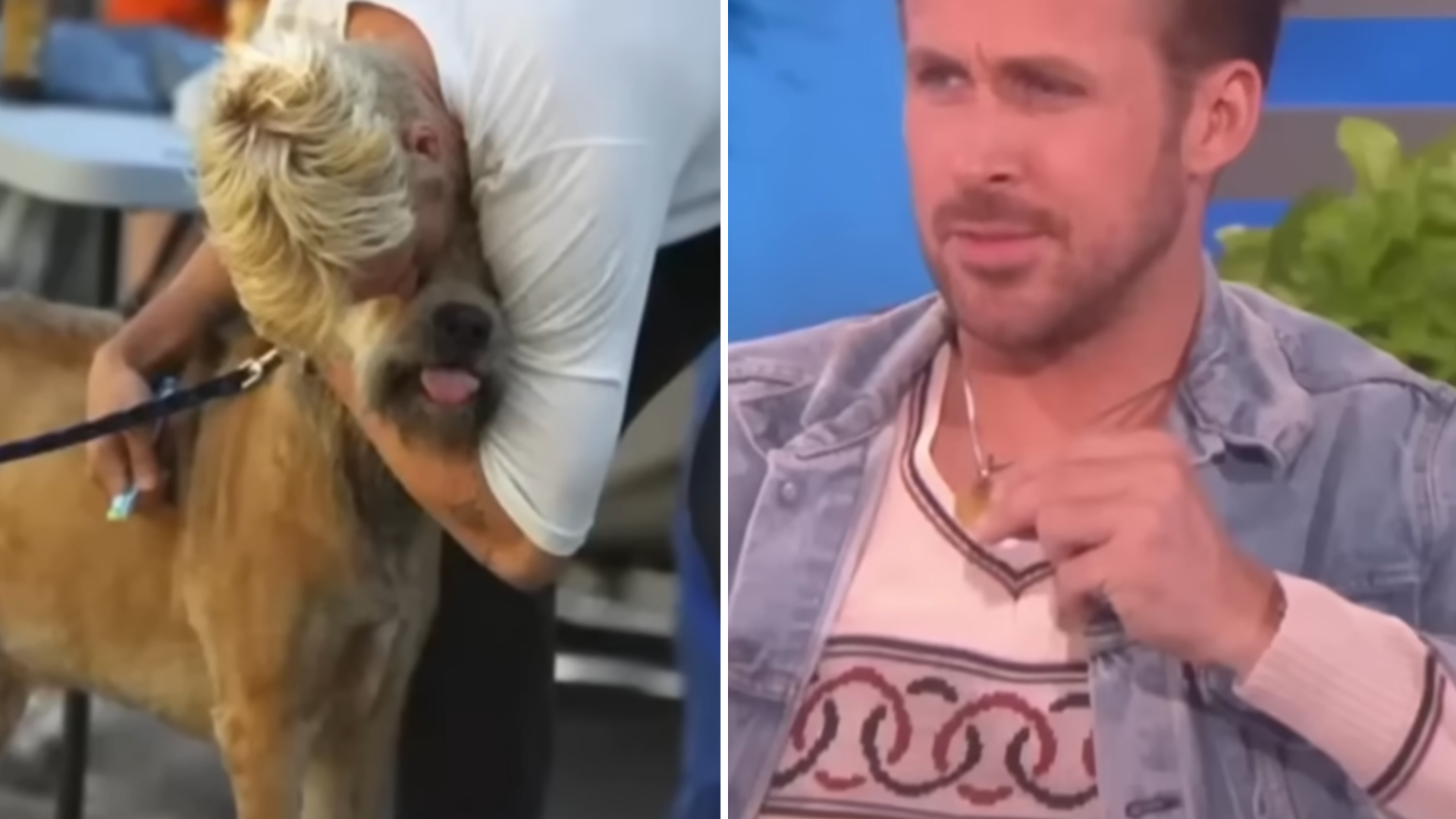 George, el perro que dejó huella en Ryan Gosling: “El gran amor de mi vida” - Infobae