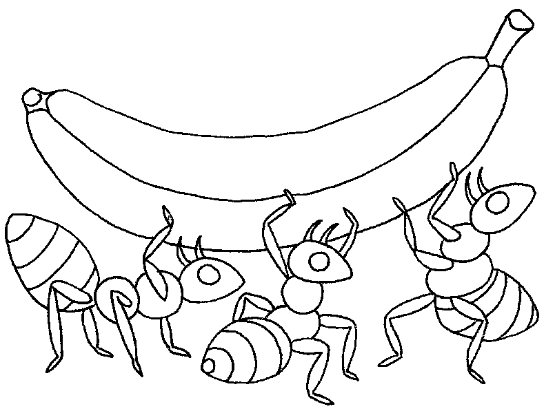 Dibujos de hormigas faciles - Imagui