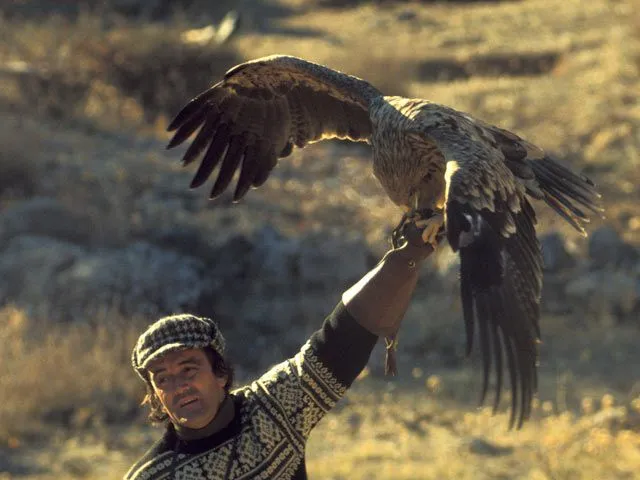 El hombre y la tierra - La doma del águila real para cazar raposos ...