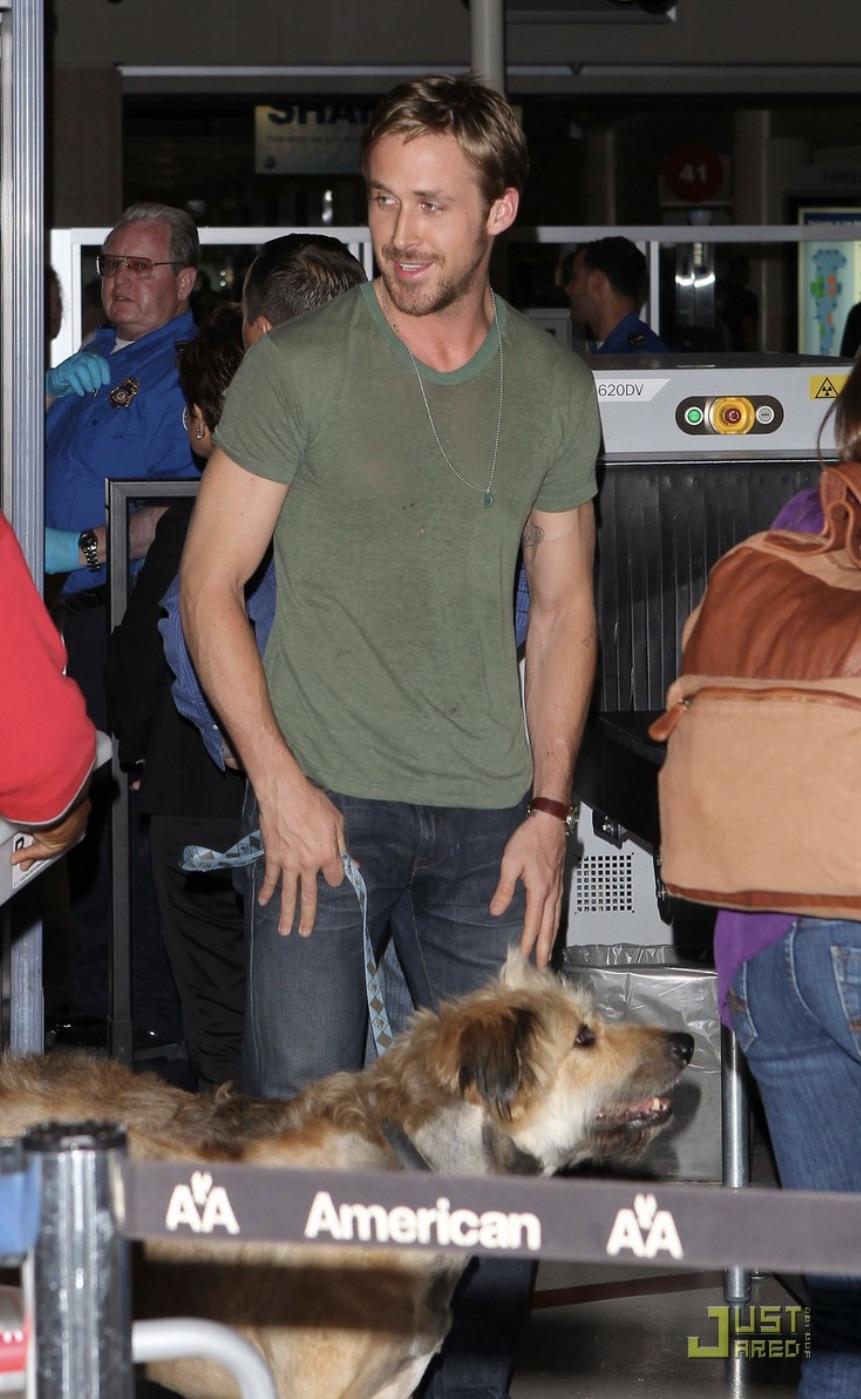 Un homenaje a mi historia de amor favorita de Hollywood: Ryan Gosling, George y el mohicano de George : r/popculturechat