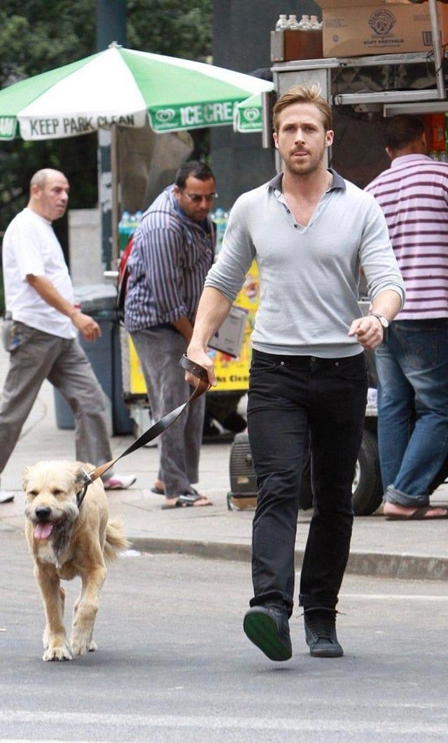 Un homenaje a mi historia de amor favorita de Hollywood: Ryan Gosling, George y el mohicano de George : r/popculturechat