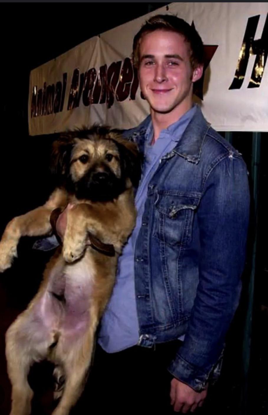 Un homenaje a mi historia de amor favorita de Hollywood: Ryan Gosling, George y el mohicano de George : r/popculturechat