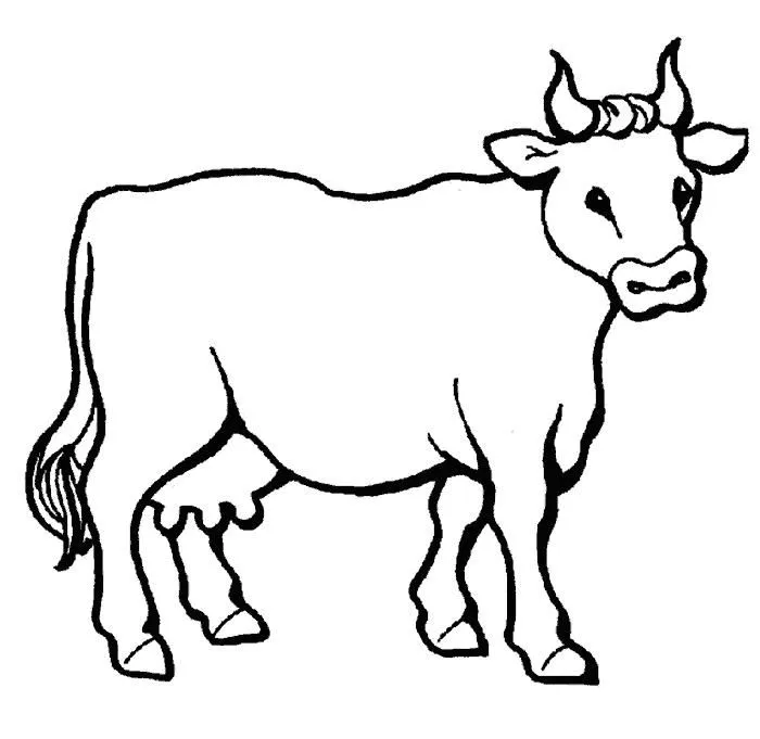Dibujo vaca para colorear - Imagui