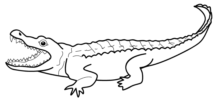 Dibujos de un lagarto para colorear - Imagui