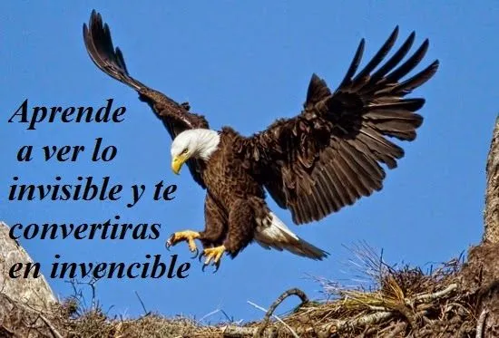 Imagenes Lindas Para Compartir Fb: Aguilas Con Frases De ...