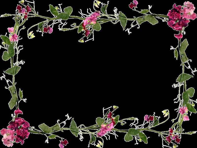 Flores de marcos - Imagui