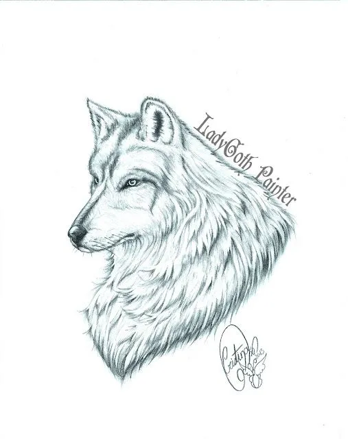 Información sobre dibujos de lobos a lapiz - Imagui