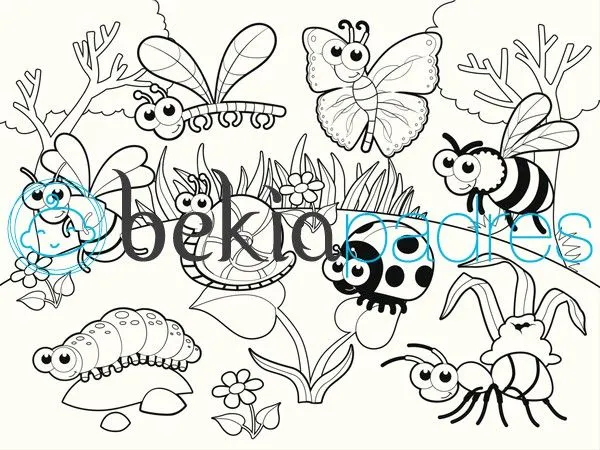 Insectos en el jardín: dibujo para colorear
