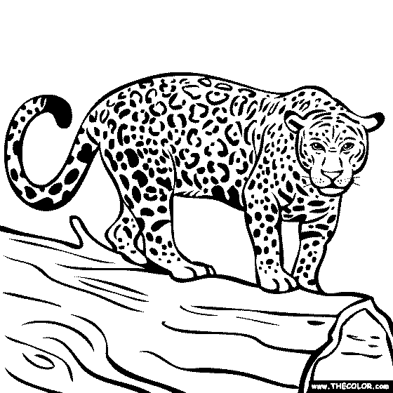 e type jaguar Colouring Pages