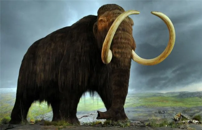 Jurassic Park no era ficción: puede que pronto veamos mamuts ...