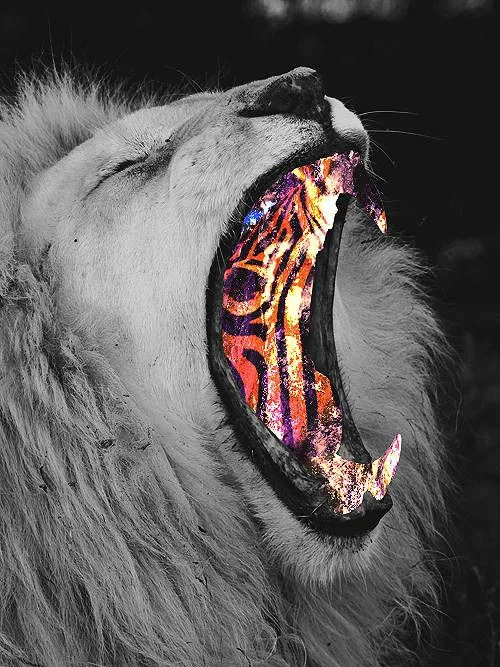 Soy un león