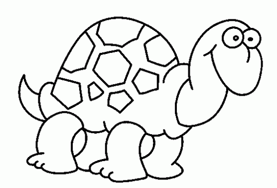 Maestra de Infantil: Tortugas terrestres y marinas. Dibujos para ...