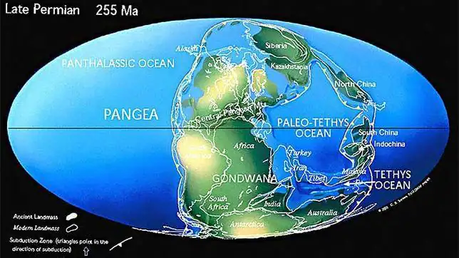 Mapa de Pangea basado en el elaborado por Christopher R. Scotese ...