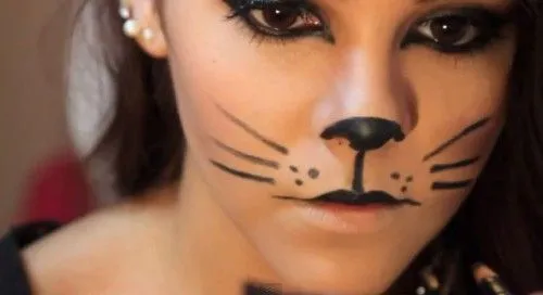 Maquillajes de gatos para niños - Imagui